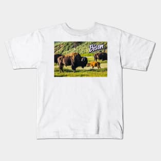 Bison at Yellowstone Kids T-Shirt